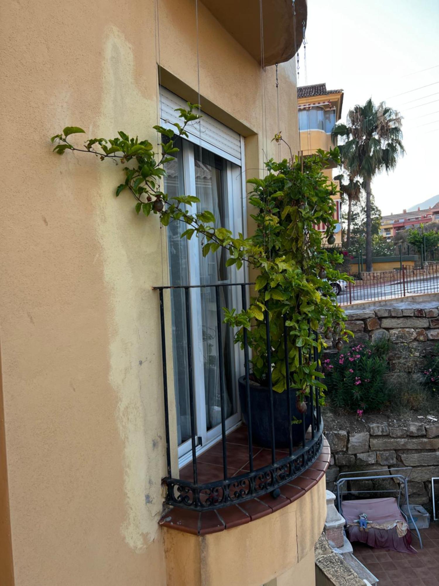 La Choza Apartment