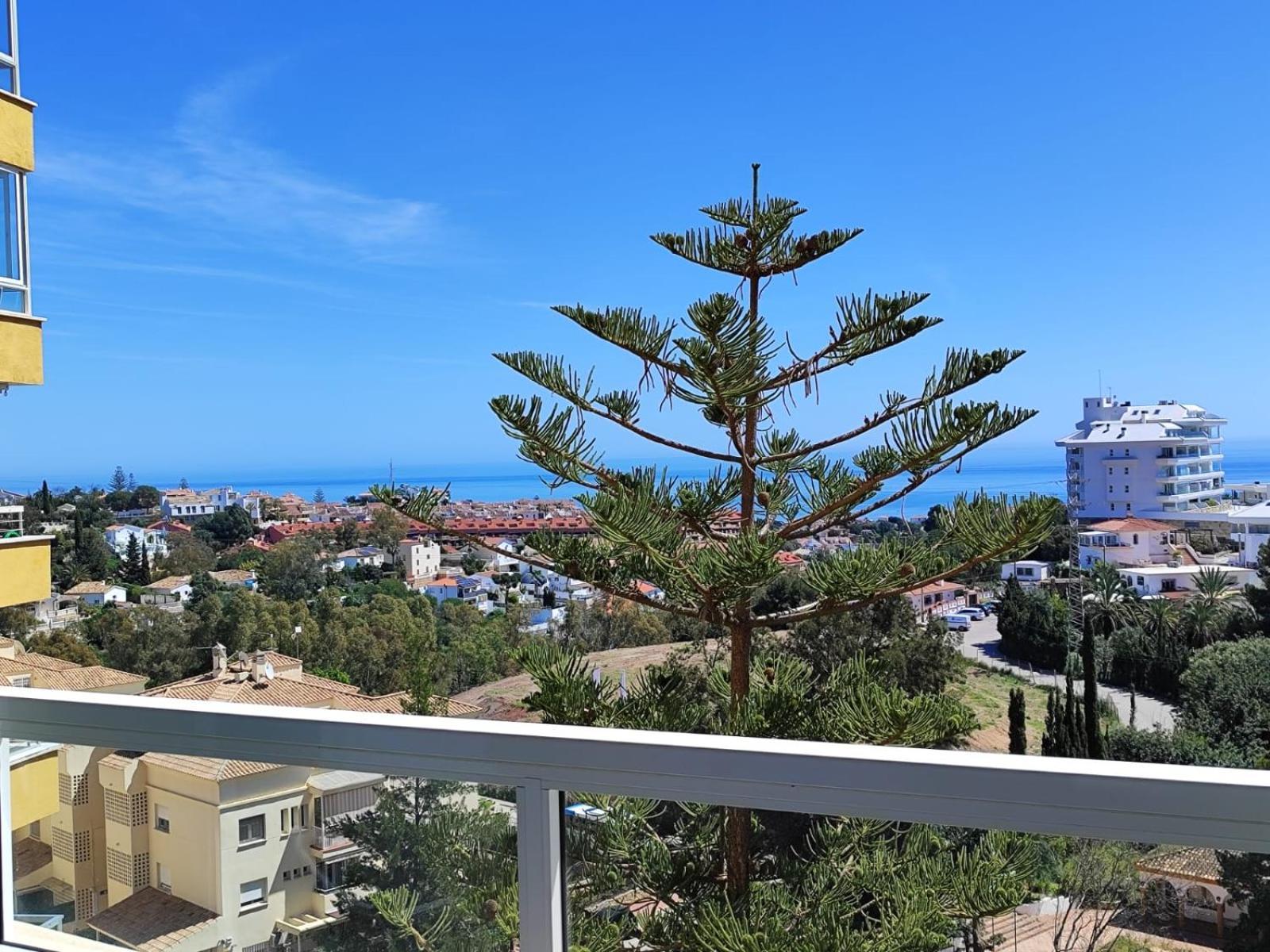 Alessandra 2 Sea View * Fuengirola