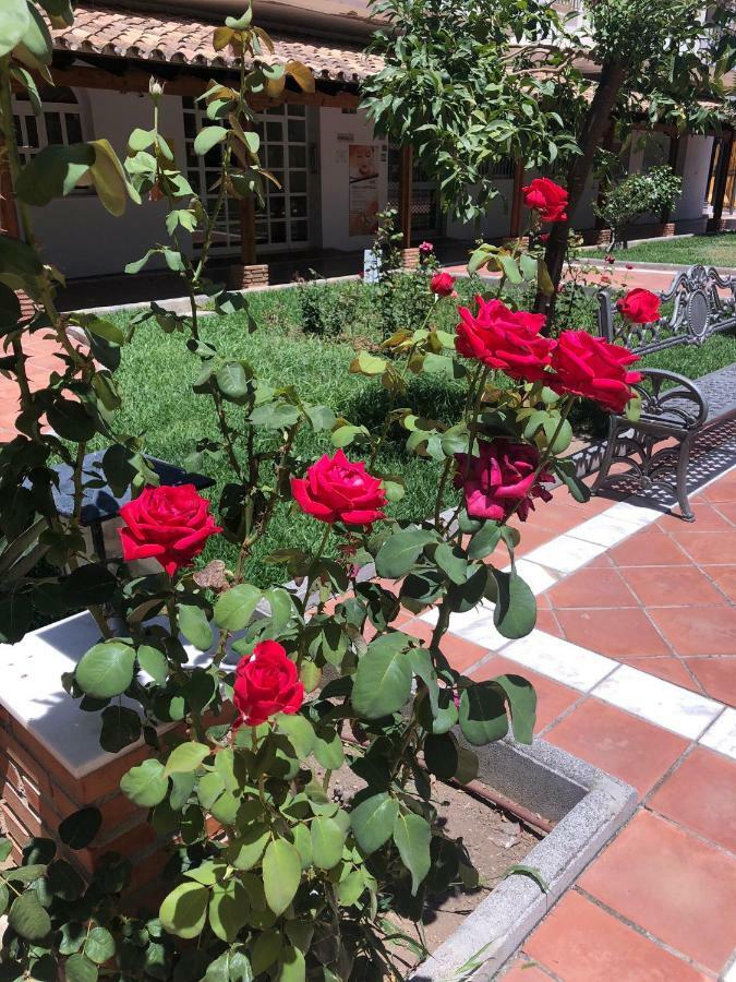 Apartment Tres Coronas Fuengirola