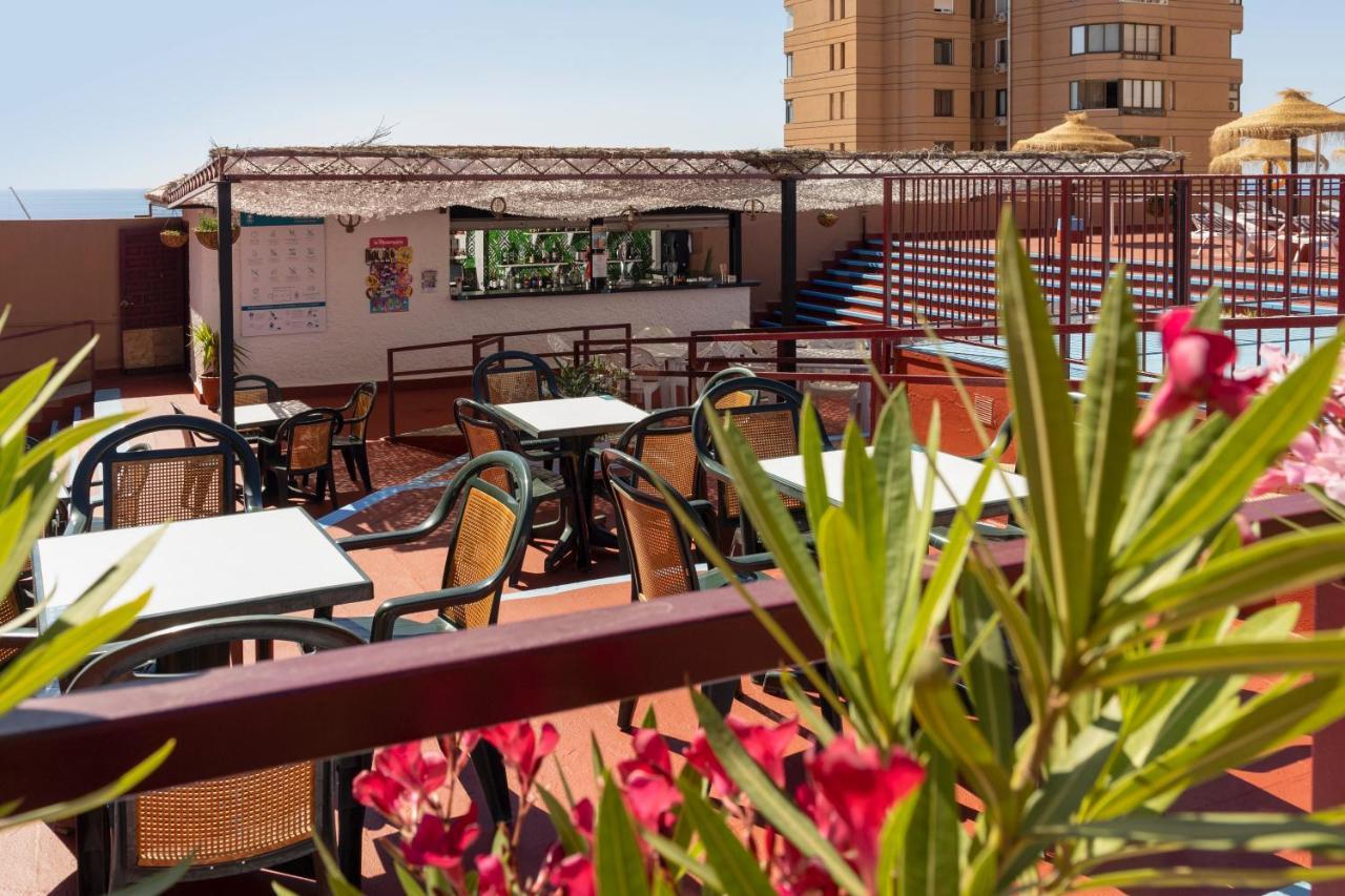 Palmeras Affiliated By Fergus Fuengirola