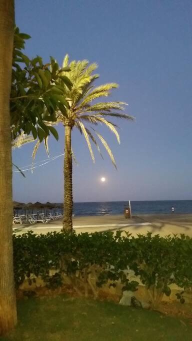 Apartment Cosy With Seaviews, Pool Close To Beach. *