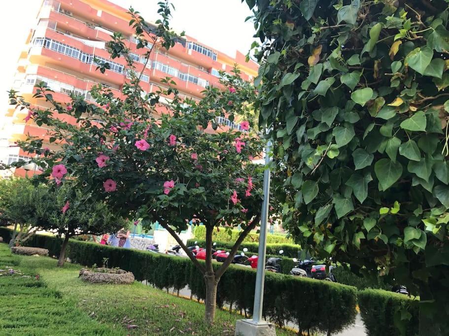 Cosy With Seaviews, Pool Close To Beach. Fuengirola