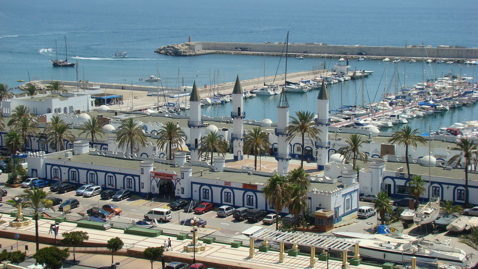 Palmeras Affiliated By Fergus