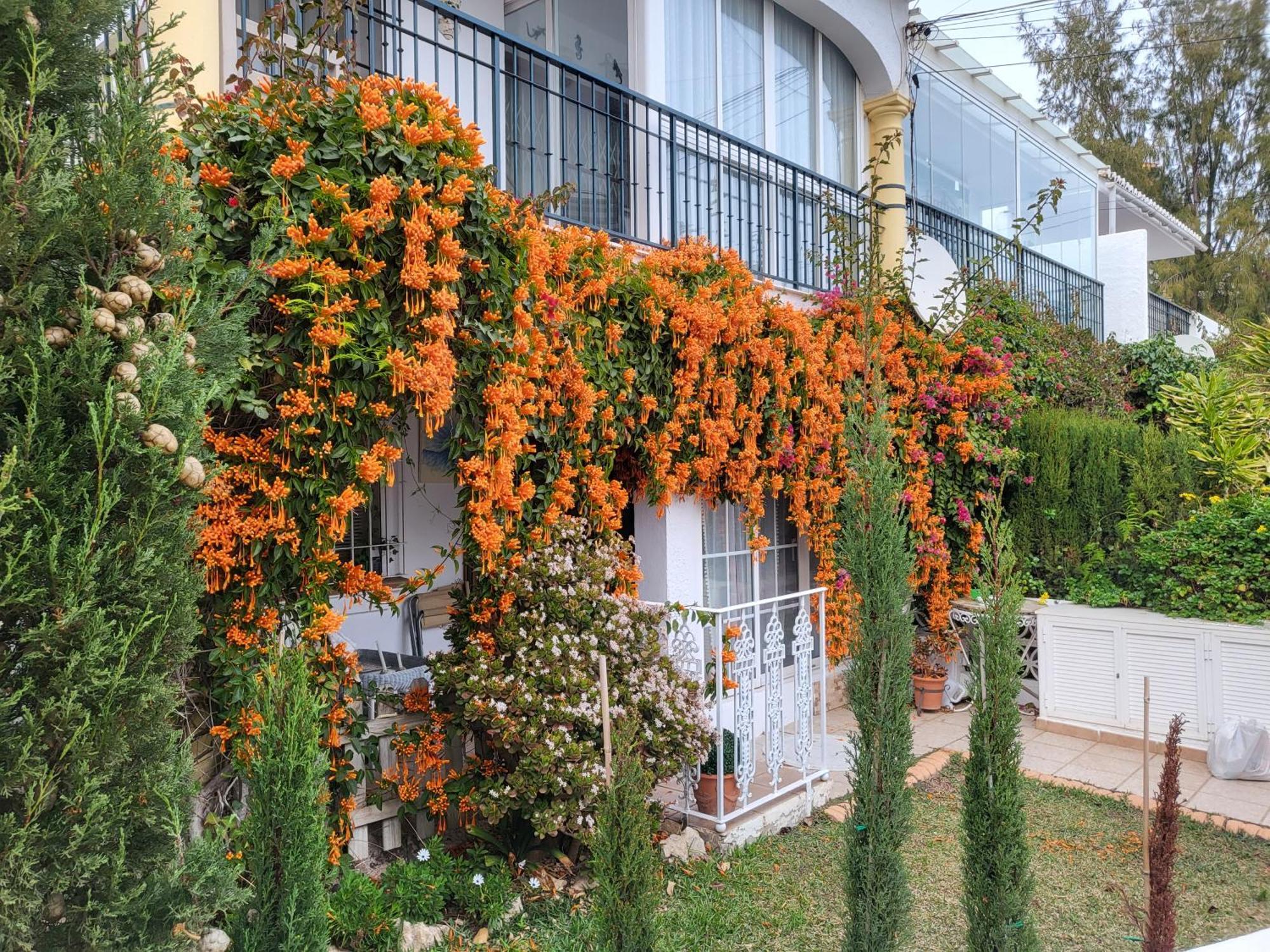 Stella Blanca 2 Bedrooms With Small Garden And Pool * Fuengirola