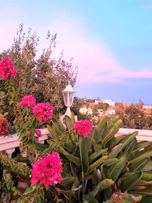 Eco Torreblanca Villa Fuengirola