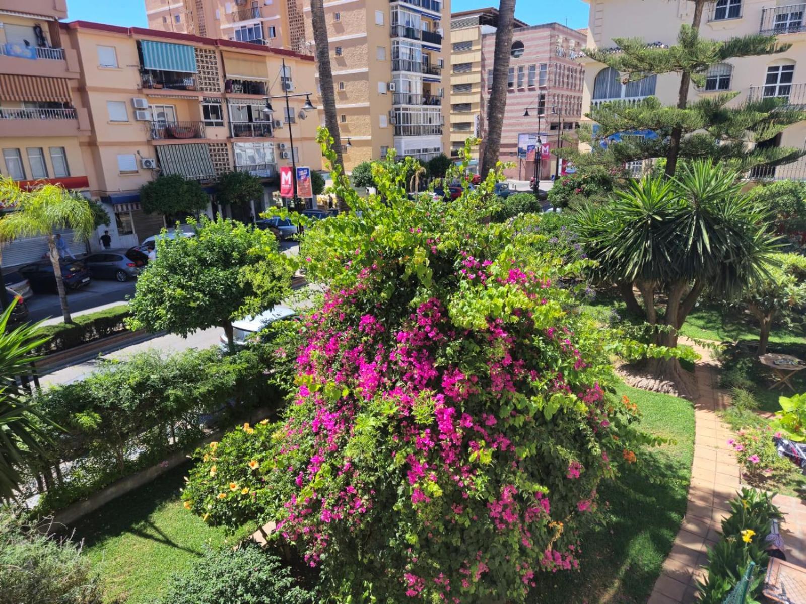 Sunny In The Center, 5 Min. From The