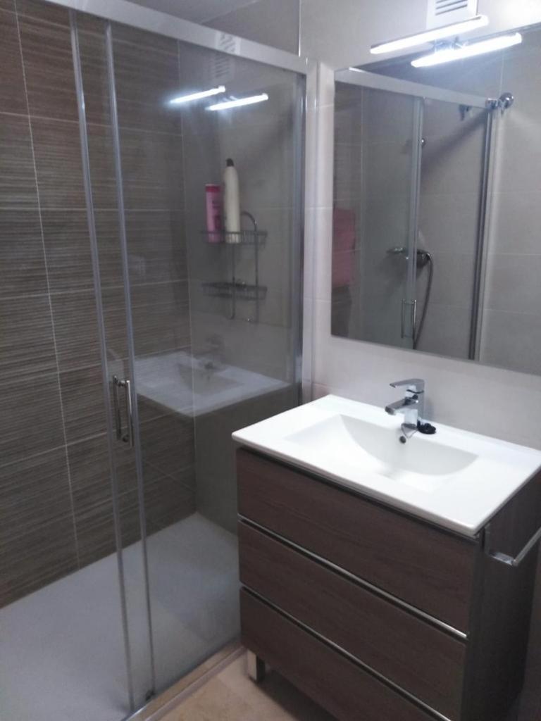 Apartment Camelias,