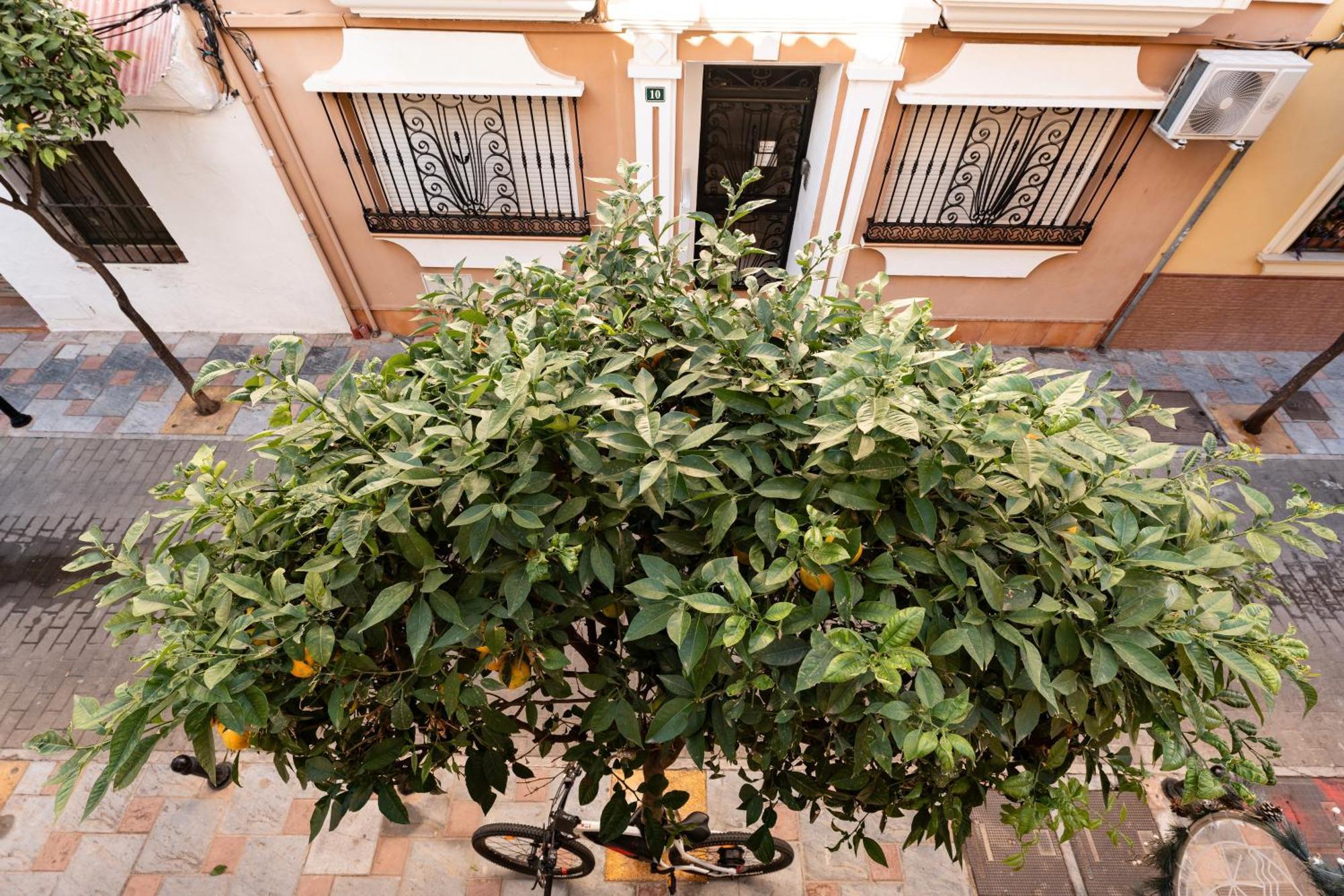 Town In Centre * Fuengirola
