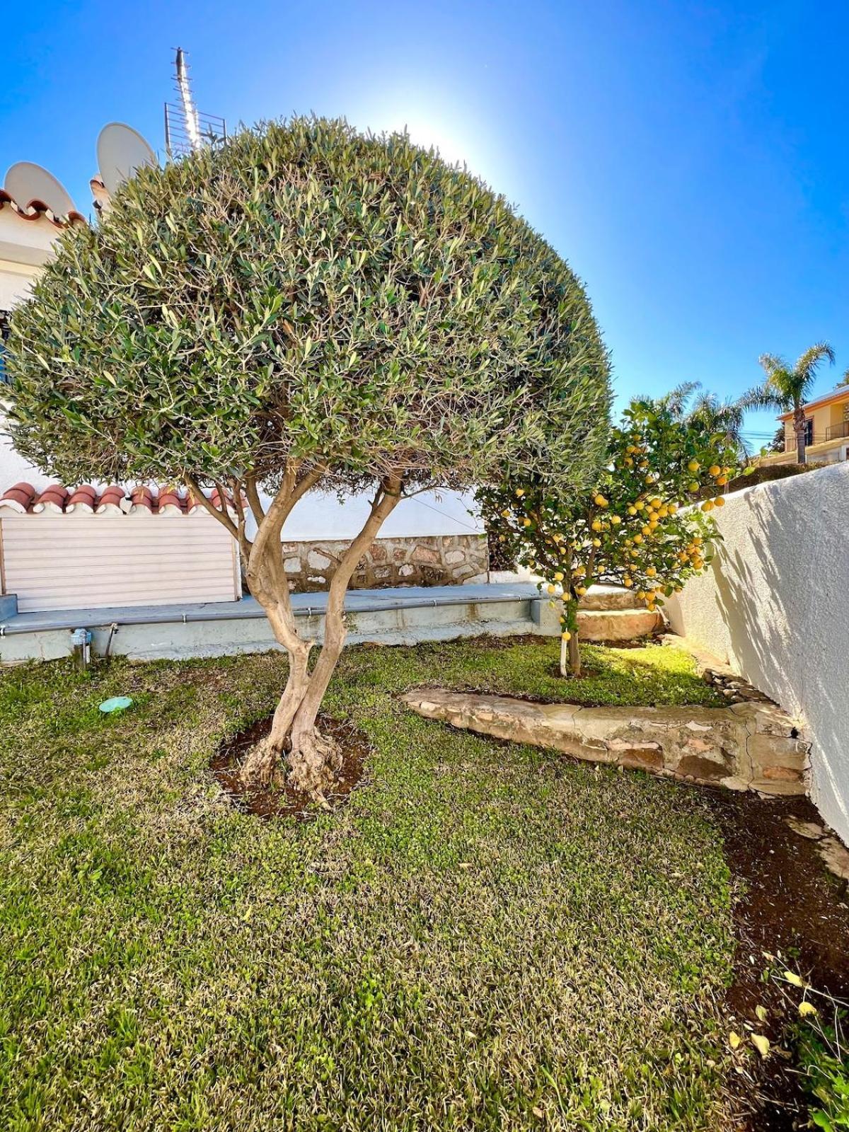 Villa Naranja - Luxury