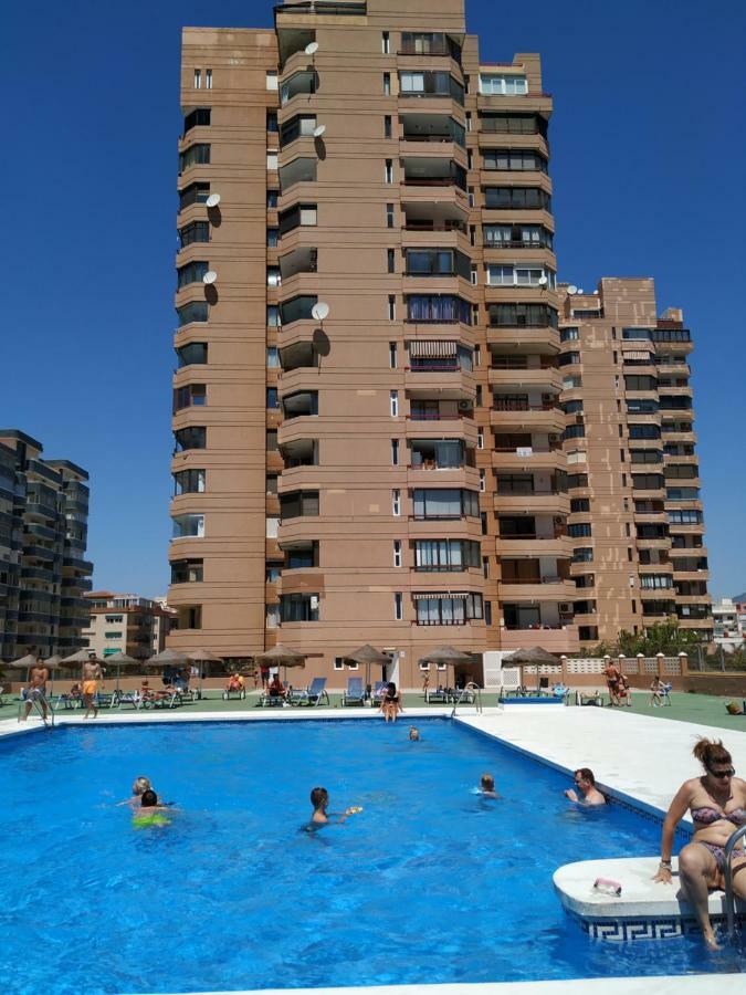 Palmeras, 893